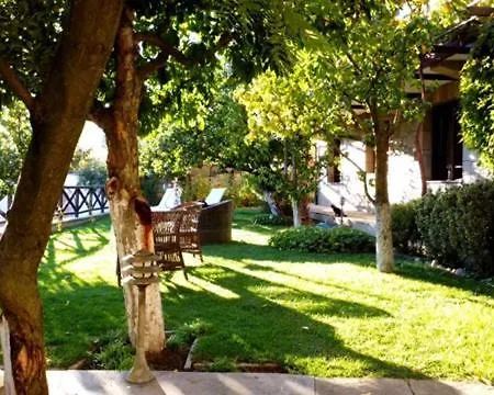 Mountain View Ecovilla 게스트하우스