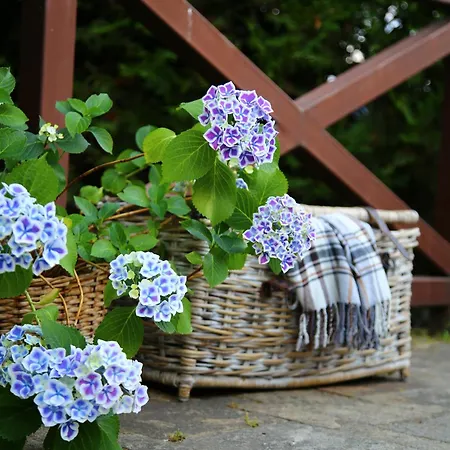 Guest house Mountain View Ecovilla