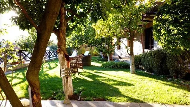 Mountain View Ecovilla Gasthof