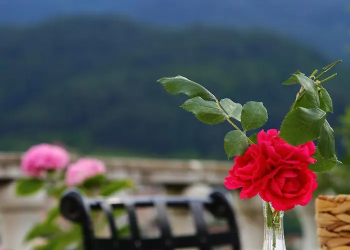 Mountain View Ecovilla Dewin