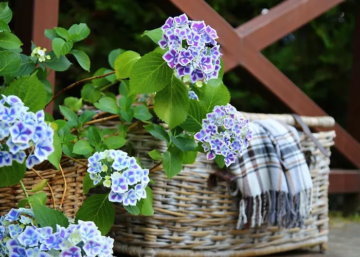 Gasthof Mountain View Ecovilla